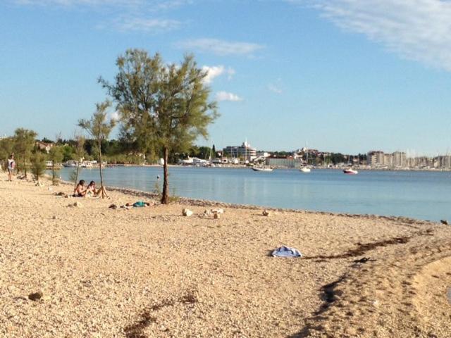 Sanja-biograd